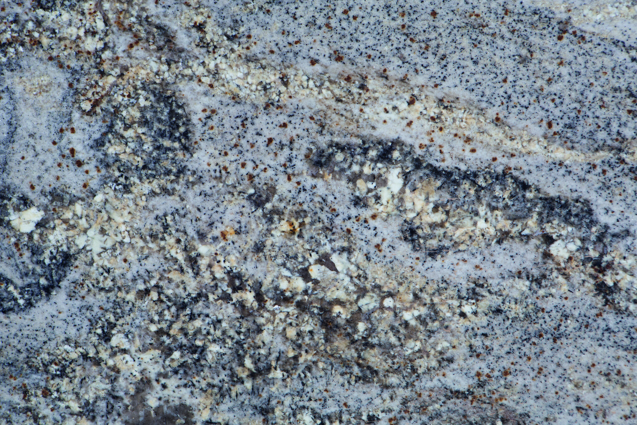 02_Half Close Up-02_Amarone