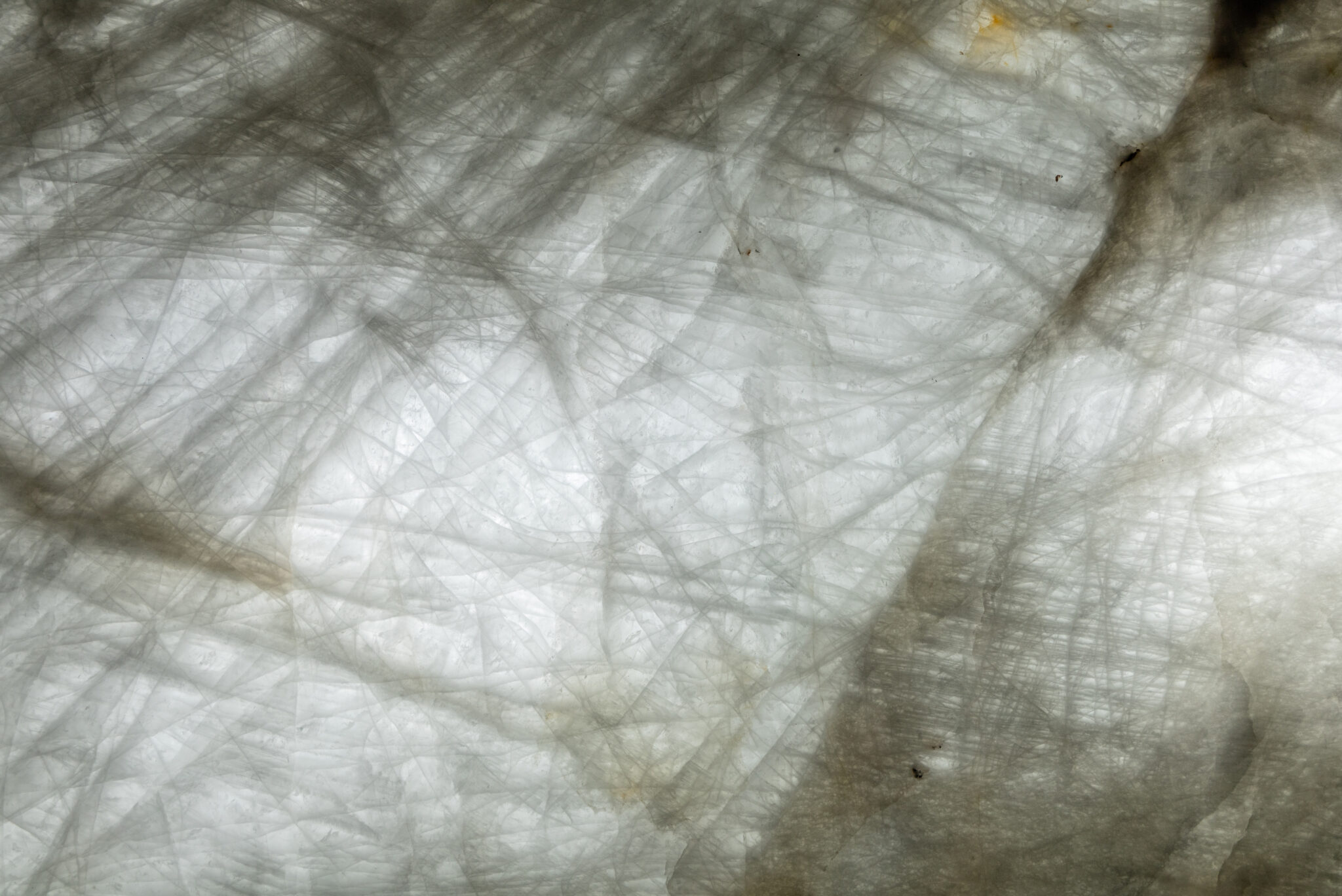 02_Half Close Up-02_Brazilian Onix