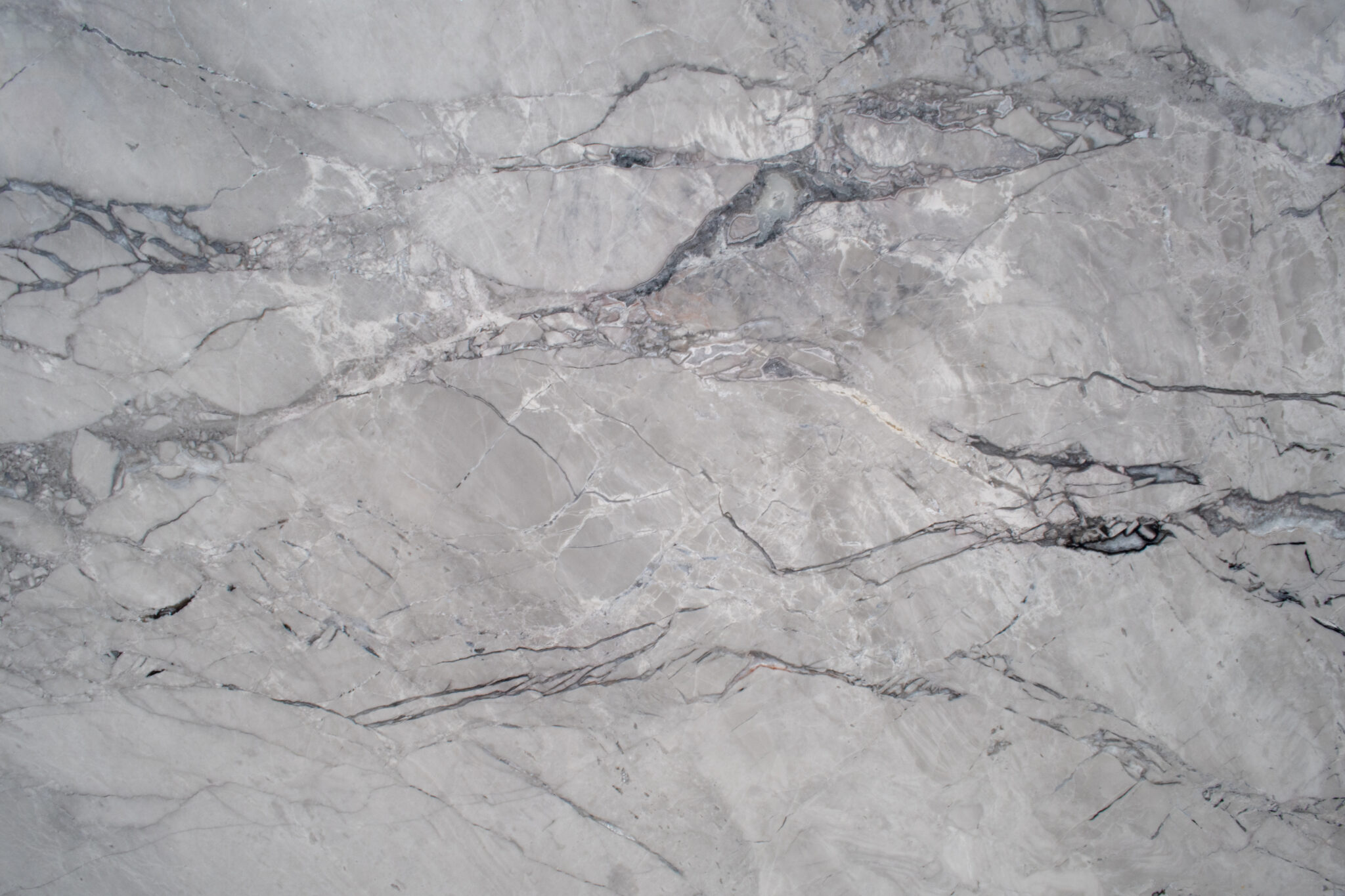 02_Half Close Up-02_Maximus