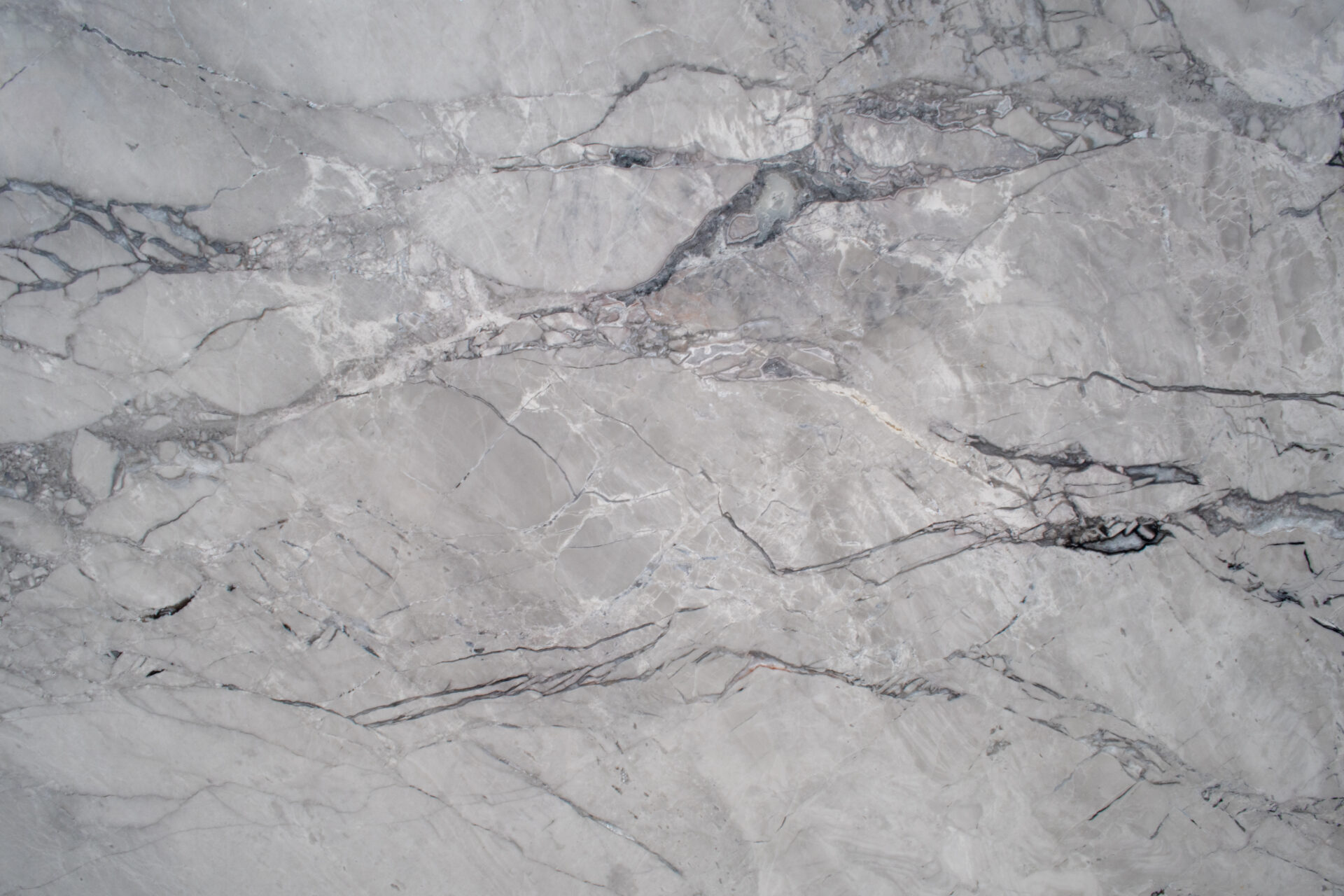 02_Half Close Up-02_Maximus