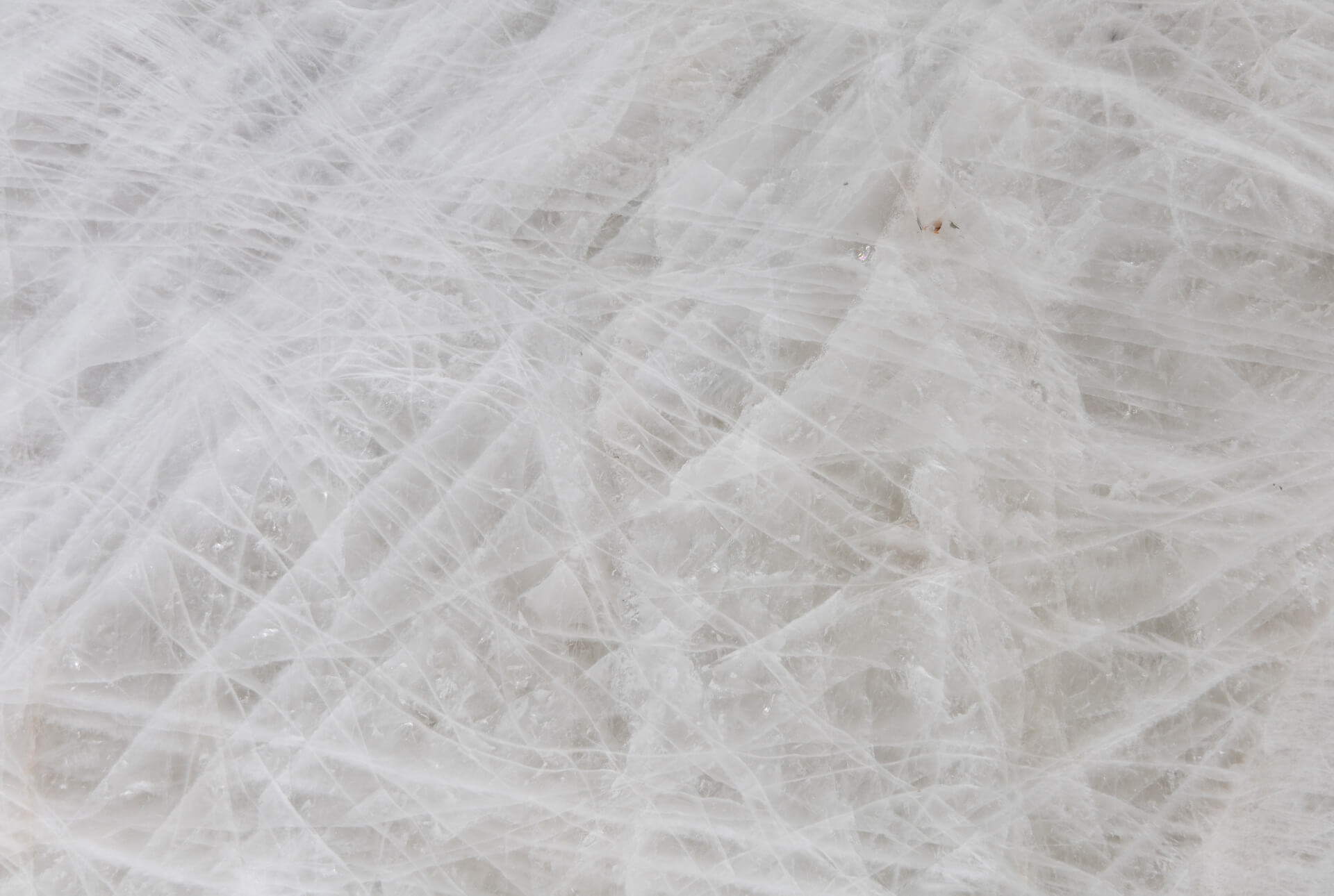 02_Half Close Up-03_Brazilian Onix