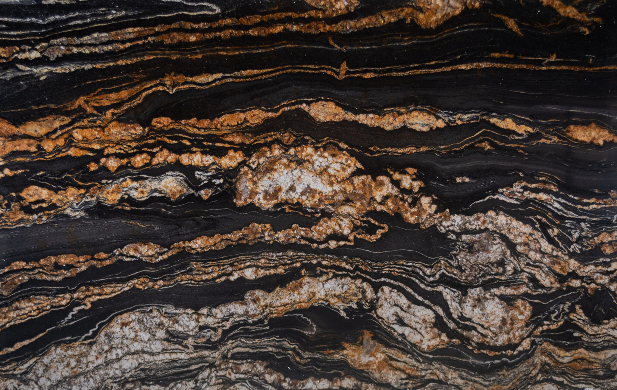 02_Half Close Up_Black Taurus