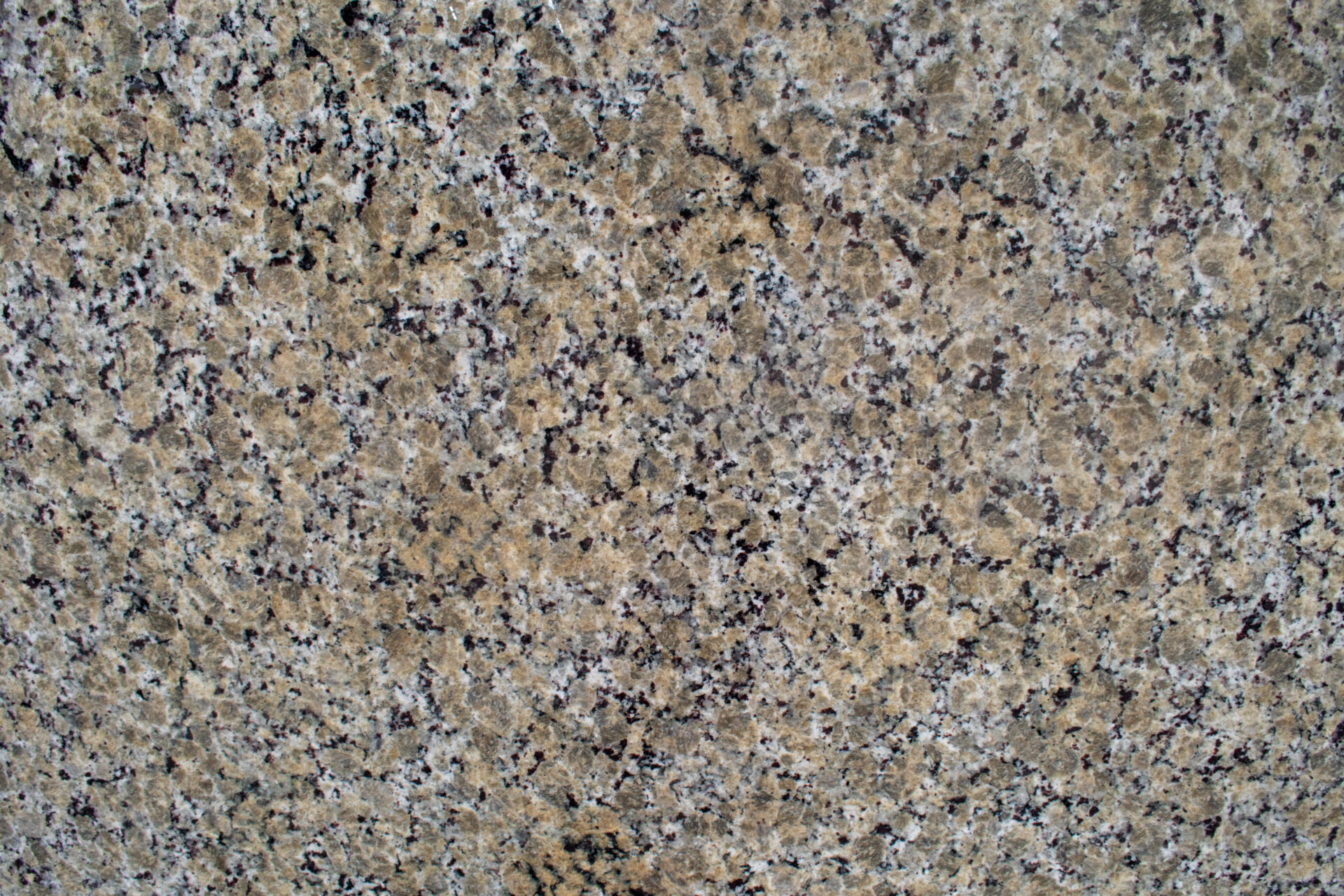 02_Half Close Up_Butterfly Beige