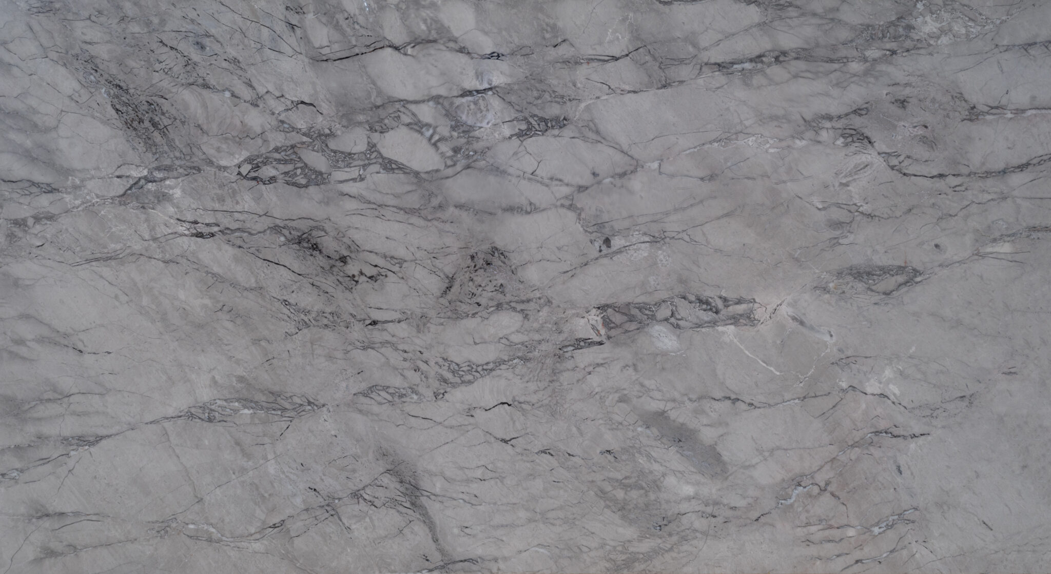 02_Half Close Up_Maximus