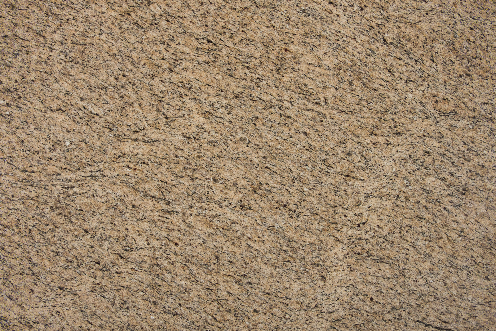 02_Half Close Up_Soft Yellow