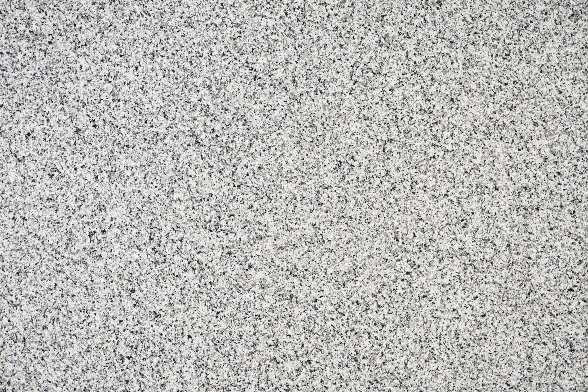 02_Half Close Up_Vale Guidoni