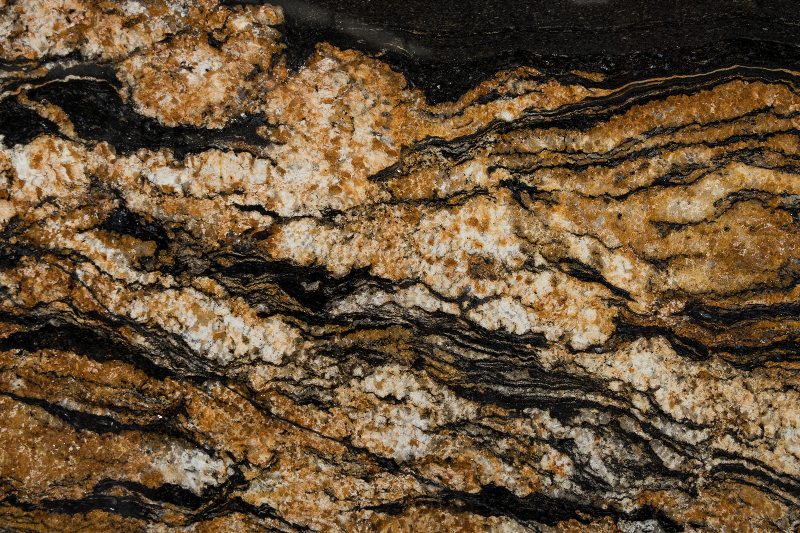 03_Close Up_Black Taurus