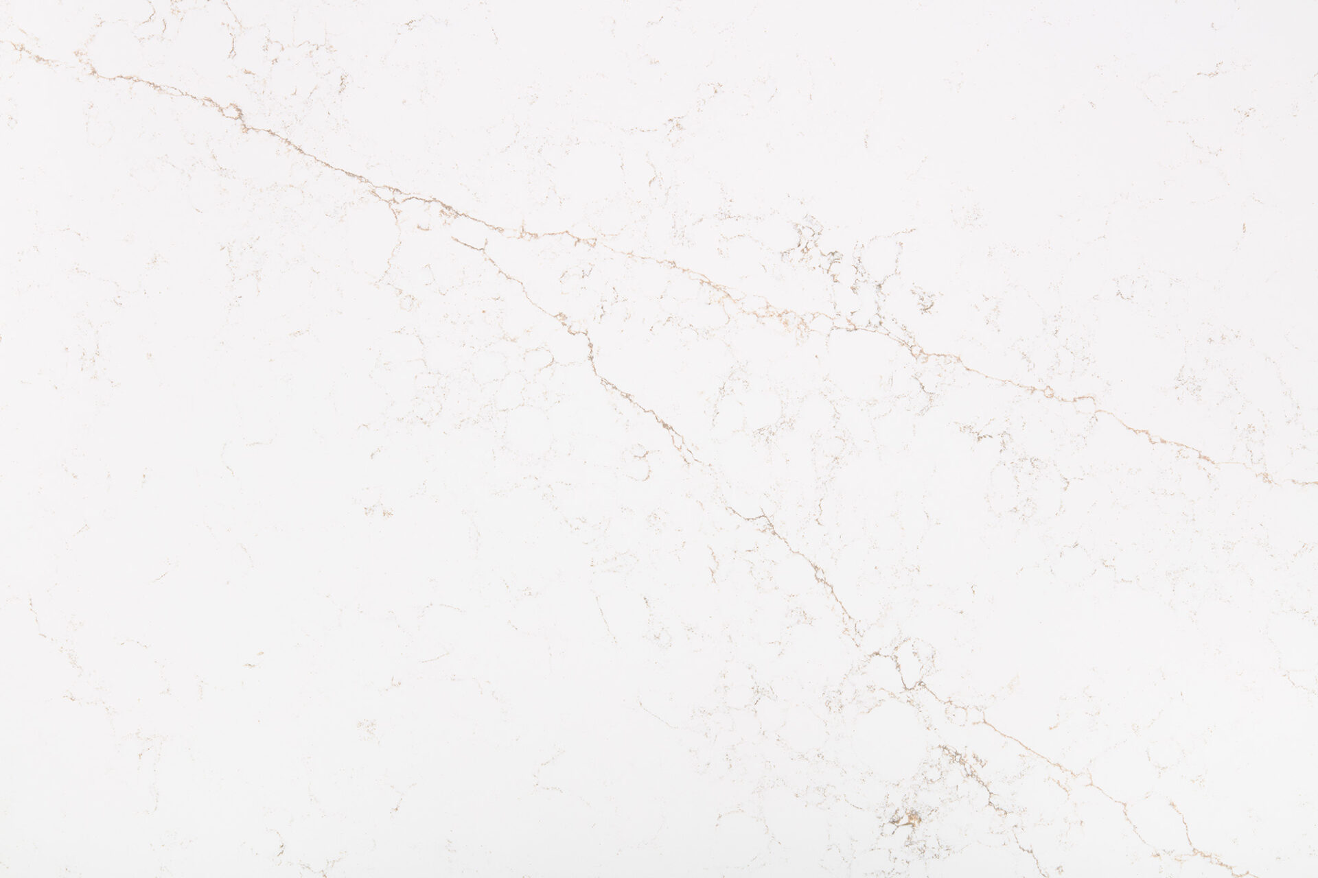 03_Close Up_Formosa Gold